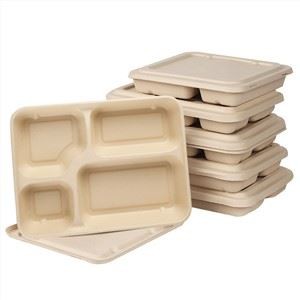 Bagasse Sugarcane Takeaway Containers