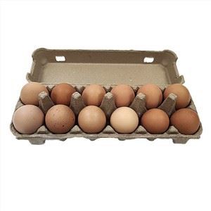 Kartun tal-Bajd Polpa Moulded