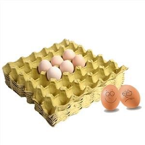 Manifatturi tat-Trej tal-Bajd tal-Polpa tal-Karta