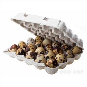 Kartun tal-Bajd tas-summien tal-Polpa